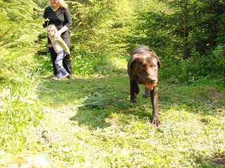 2010-05-29_ntb_9790