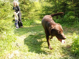 2010-05-29_ntb_9791