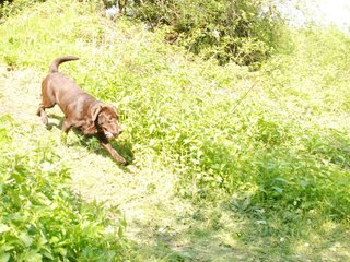 2010-05-29_ntb_9800