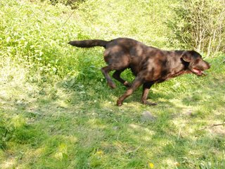 2010-05-29_ntb_9801