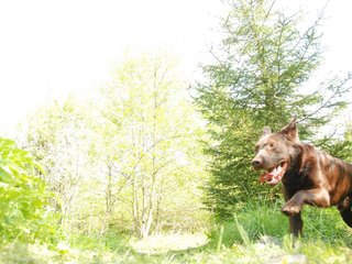 2010-05-29_ntb_9802
