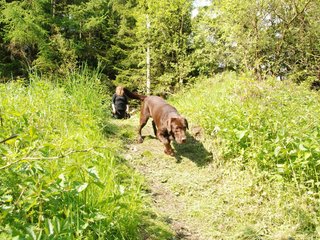 2010-05-29_ntb_9803