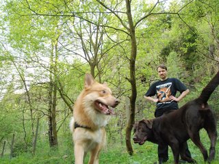 2010-05-29_ntb_9805