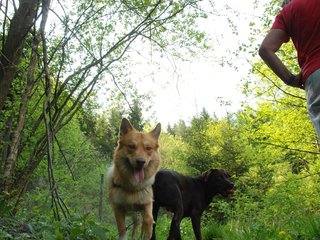 2010-05-29_ntb_9806
