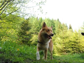 2010-05-29_ntb_9807