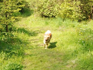 2010-05-29_ntb_9808