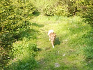 2010-05-29_ntb_9809