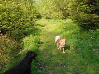 2010-05-29_ntb_9810