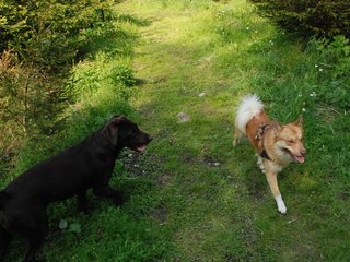 2010-05-29_ntb_9811