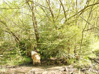 2010-05-29_ntb_9812