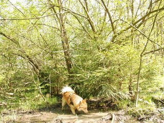 2010-05-29_ntb_9813