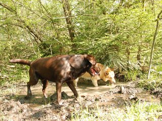 2010-05-29_ntb_9814