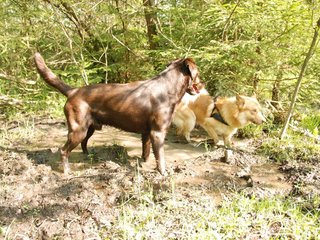 2010-05-29_ntb_9815
