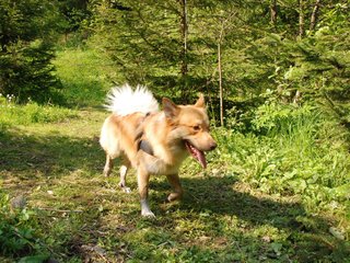 2010-05-29_ntb_9819