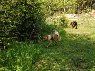 2010-05-29_ntb_9820