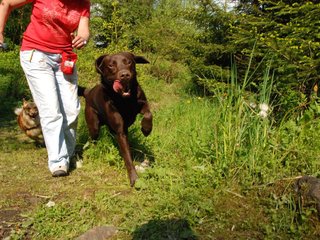 2010-05-29_ntb_9822