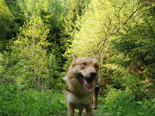 2010-05-29_ntb_9823