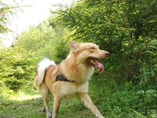 2010-05-29_ntb_9825