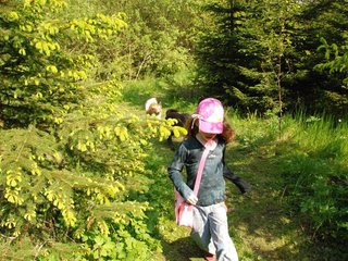 2010-05-29_ntb_9827