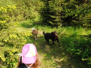 2010-05-29_ntb_9828