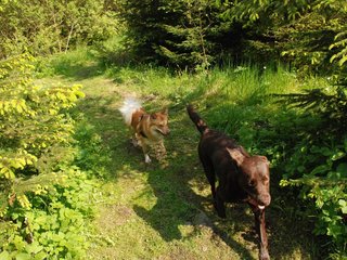 2010-05-29_ntb_9829