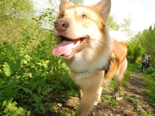 2010-05-29_ntb_9830