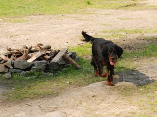2010-05-29_ntb_9833