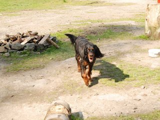 2010-05-29_ntb_9834