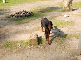 2010-05-29_ntb_9835
