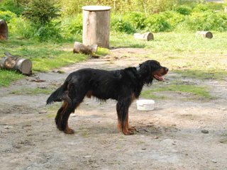 2010-05-29_ntb_9836