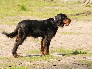 2010-05-29_ntb_9839