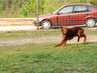 2010-05-29_ntb_9840