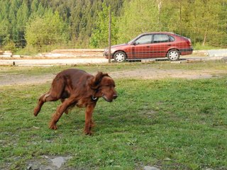 2010-05-29_ntb_9842