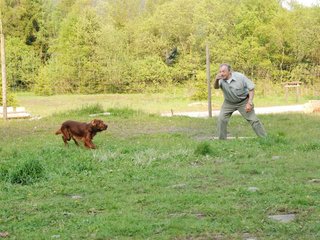 2010-05-29_ntb_9843