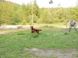 2010-05-29_ntb_9844