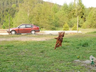 2010-05-29_ntb_9845