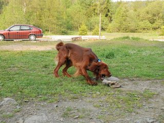 2010-05-29_ntb_9846