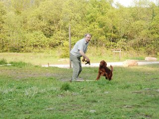 2010-05-29_ntb_9847