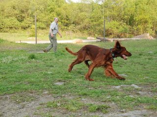 2010-05-29_ntb_9850