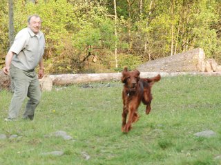 2010-05-29_ntb_9851