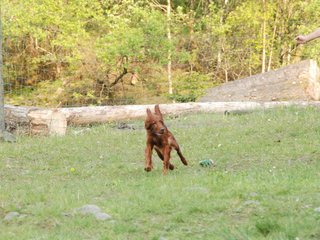 2010-05-29_ntb_9854