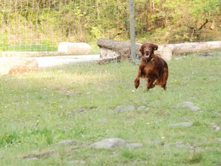 2010-05-29_ntb_9855