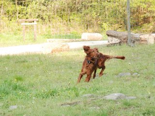 2010-05-29_ntb_9856