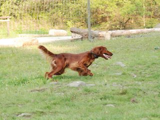 2010-05-29_ntb_9857