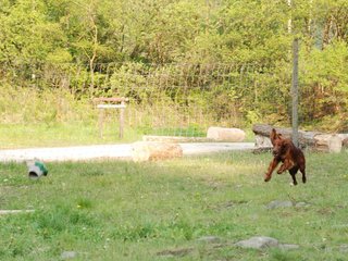 2010-05-29_ntb_9858