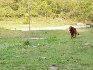 2010-05-29_ntb_9859