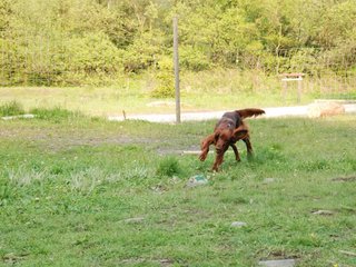 2010-05-29_ntb_9860