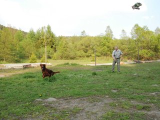 2010-05-29_ntb_9861