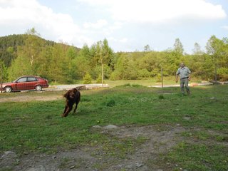 2010-05-29_ntb_9862