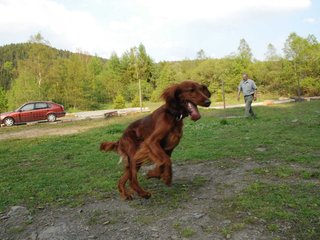 2010-05-29_ntb_9863